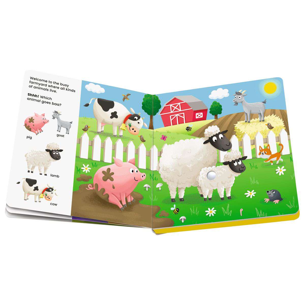 RAV Shh…Who's There? Baby Animals