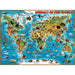 RAV Animals of The World 300 Piece XXL Puzzle
