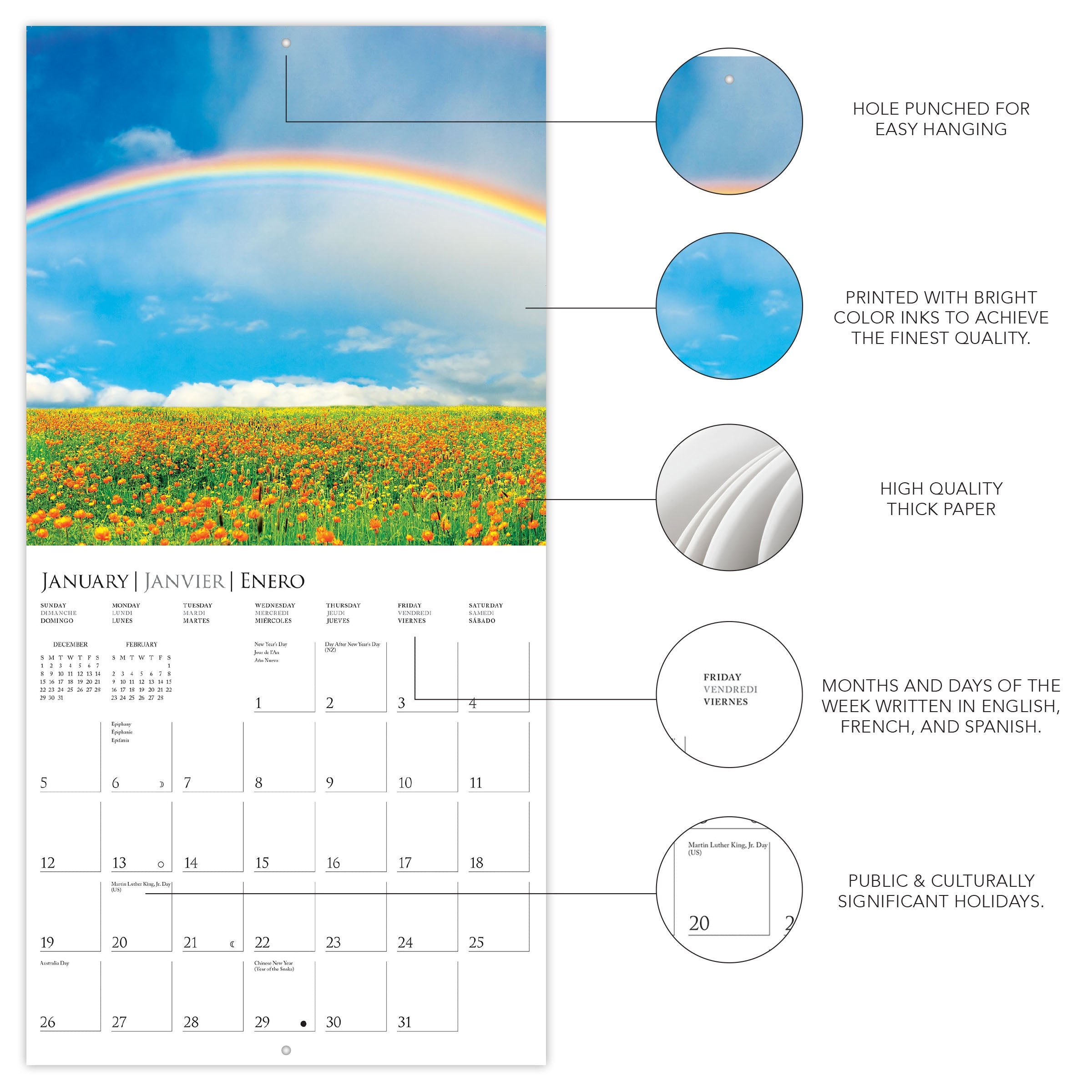 Chasing Rainbows 2025 Wall Calendar    