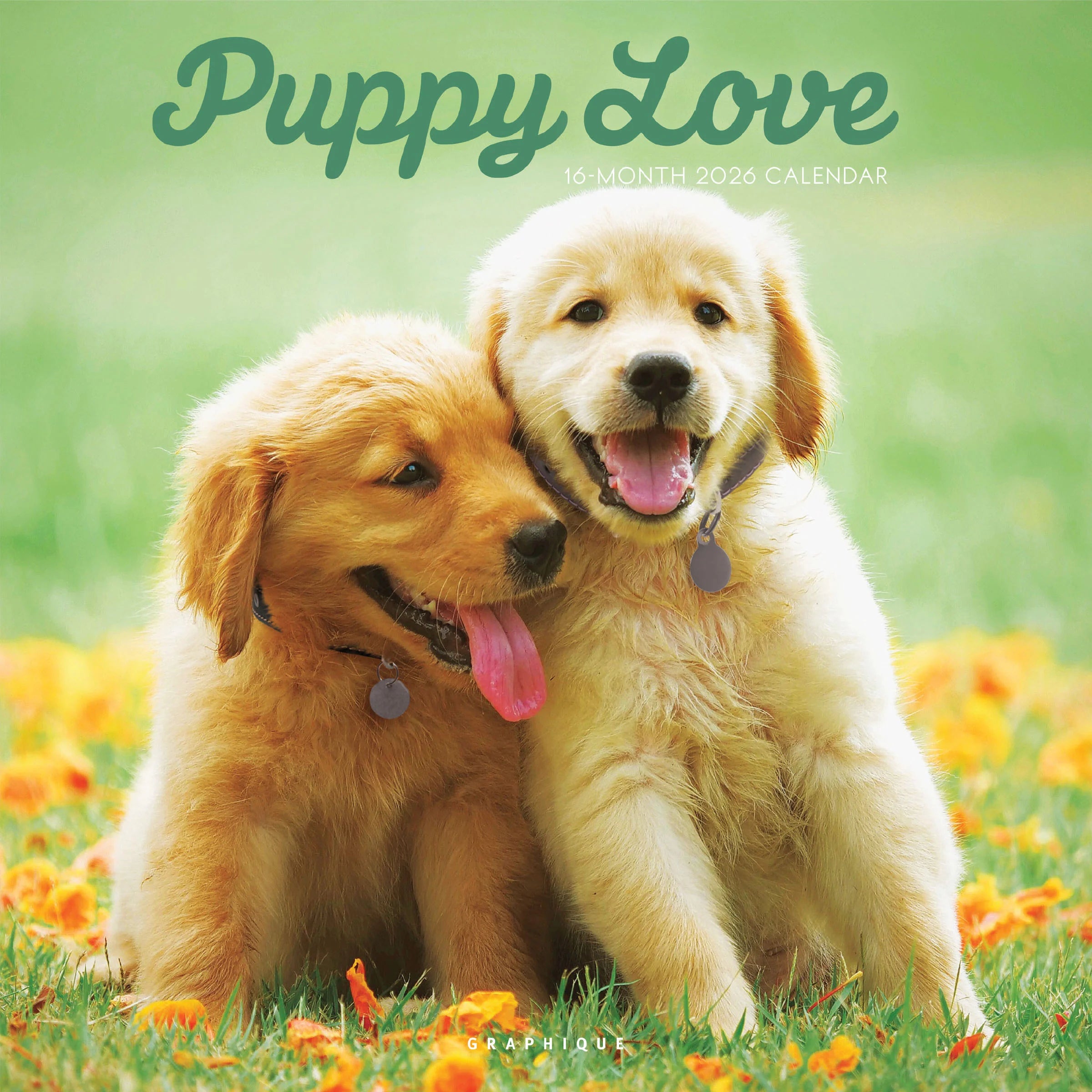 Puppy Love 2026 Wall Calendar