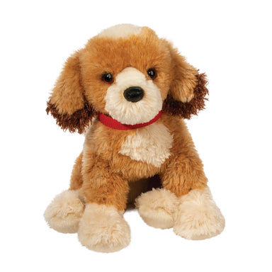 Buttercup Large Doodle Mix Pup With Red Collar    