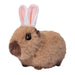 Capybara With Bunny Ears