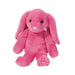Begonia Pink Bunny