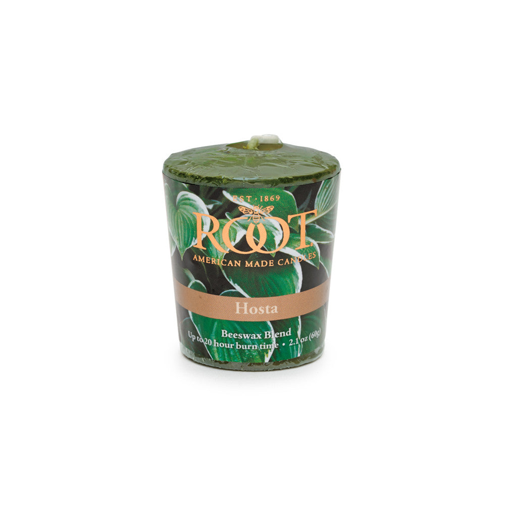 Root Candles Votive Hosta