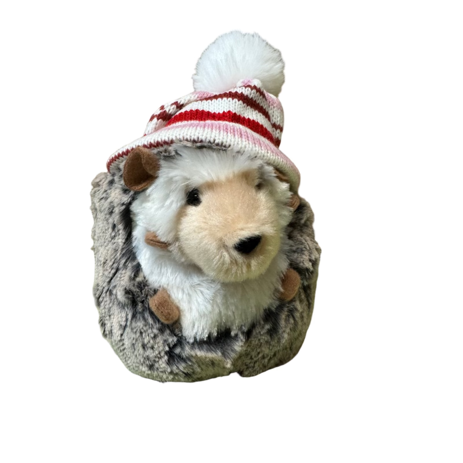 Spunky Hedgehog with Winter Hat
