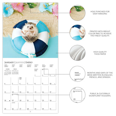 Happy Hedgehog 2026 Mini Wall Calendar