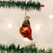 Old World Christmas Miniature Cardinal Ornament    
