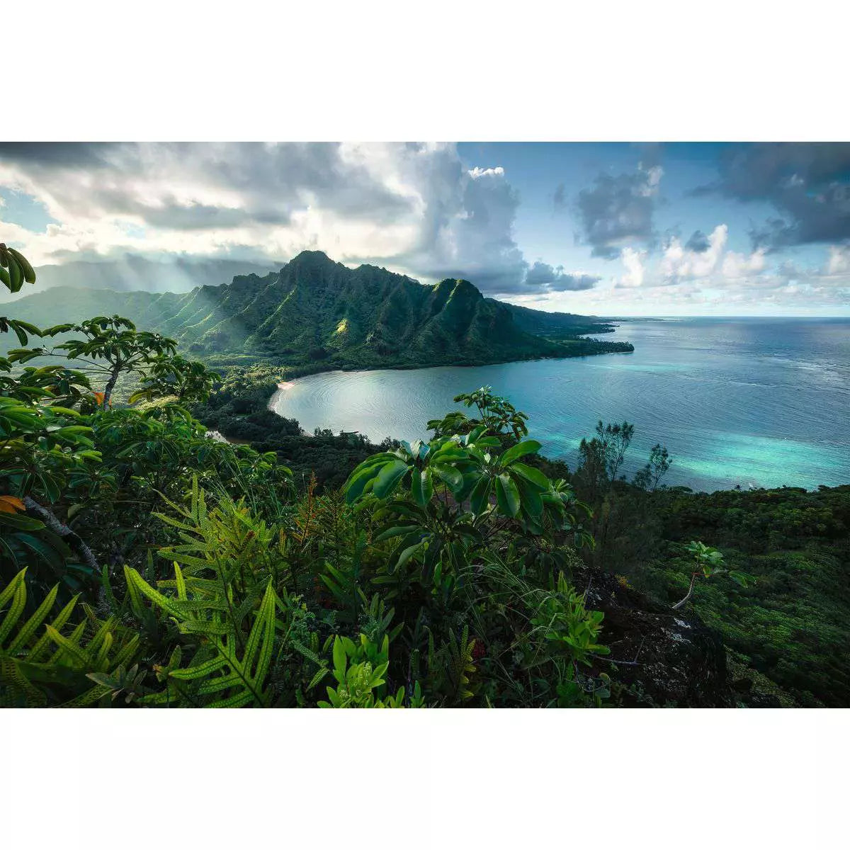 Hawaiian Viewpoint 5000 Piece Puzzle
