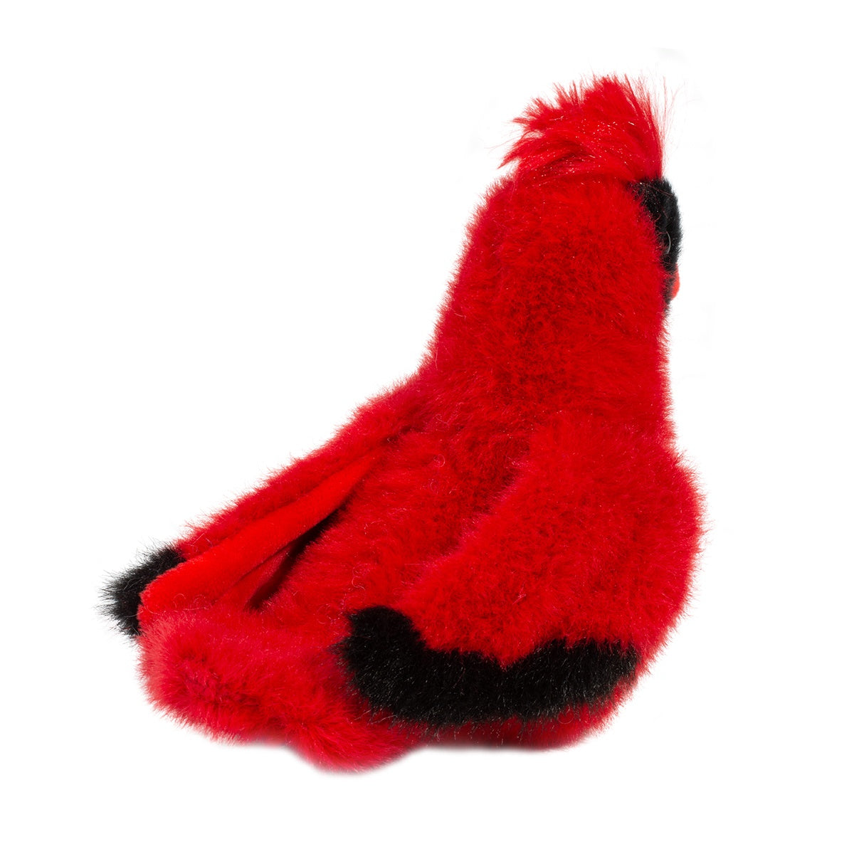 Carmine Cardinal    