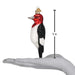 Old World Christmas Red Headed Woodpecker Ornament