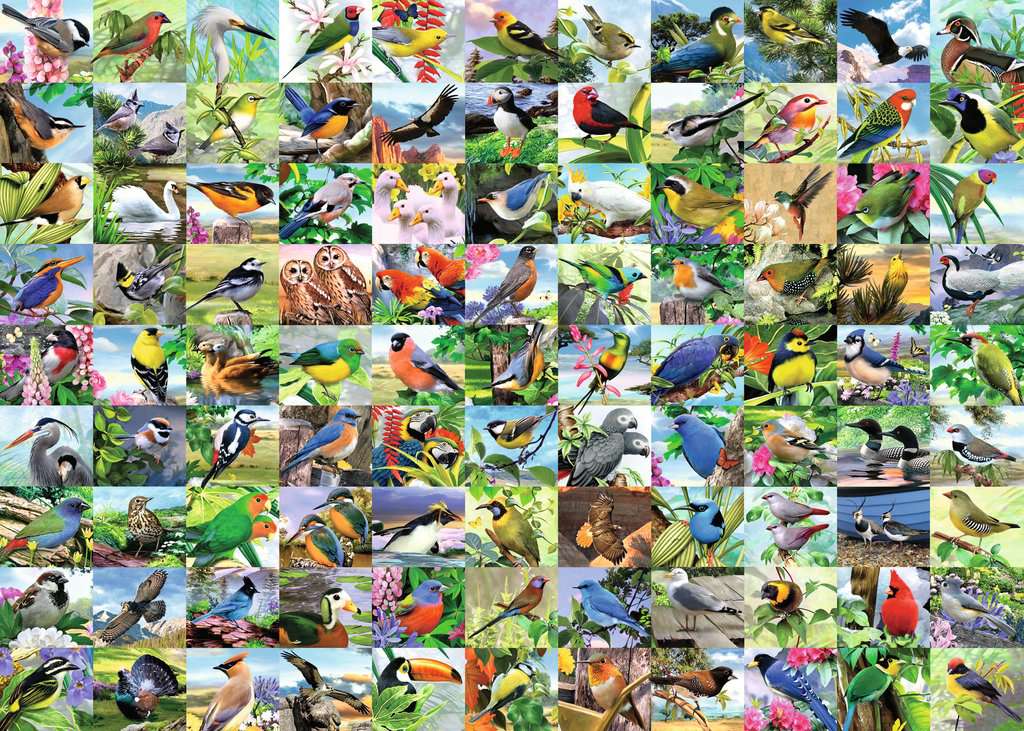 99 Delightful Birds 300 Piece Large Format Puzzle    