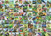 99 Delightful Birds 300 Piece Large Format Puzzle    