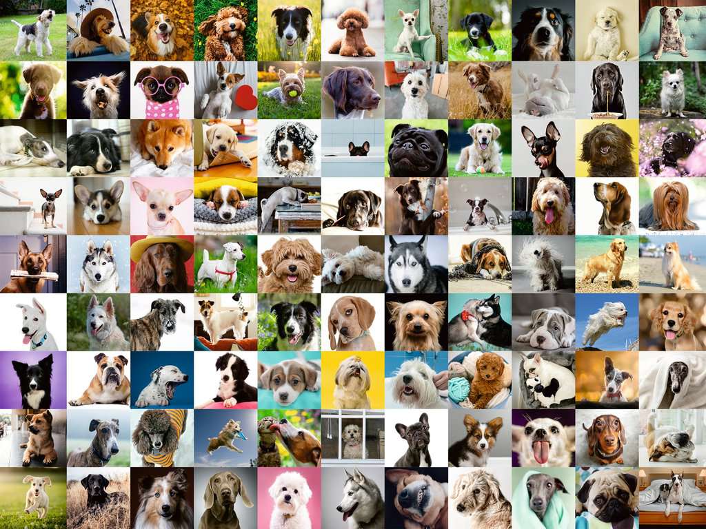 99 Lovable Dogs 750 Piece Large Format Puzzle    