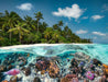 A Dive In The Maldives 2000 Piece Puzzle    