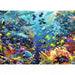 Underwater Paradise 9000 Piece Puzzle