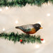 Old World Christmas Robin Clip On Ornament
