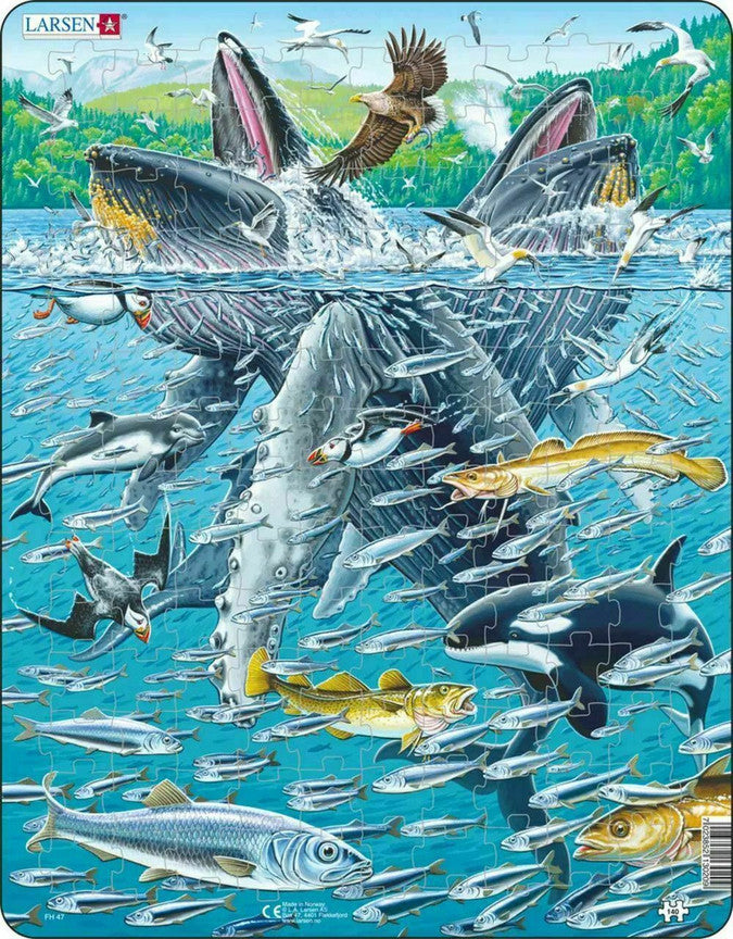 SPRGBK Humpback Whale 140 Piece Larsen Frame Puzzle