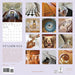 Stairways 2026 Wall Calendar
