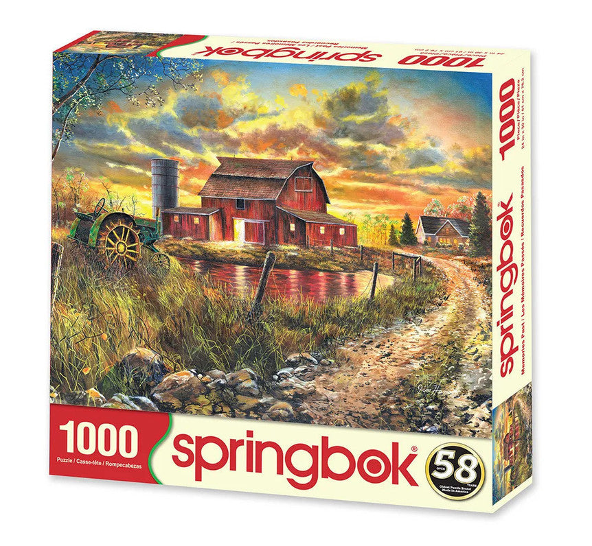 SPRGBK Memories Past 1000 Piece Puzzle