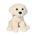 Ivoree White Lab
