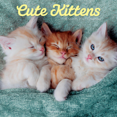 Cute Kittens 2027 Wall Calendar