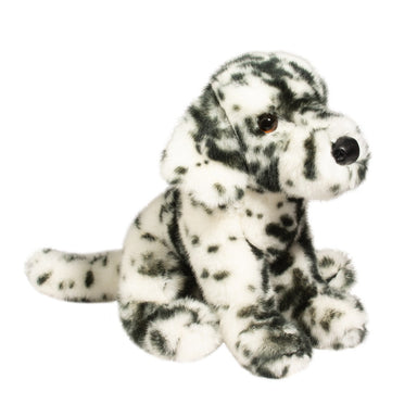Mackay Dalmatian