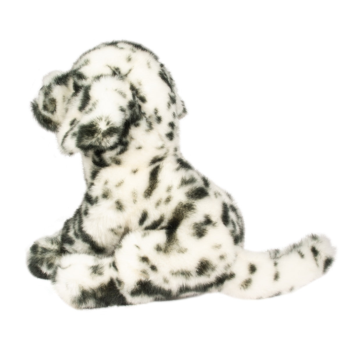 Mackay Dalmatian