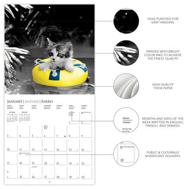 Classic Cats 2027 Wall Calendar