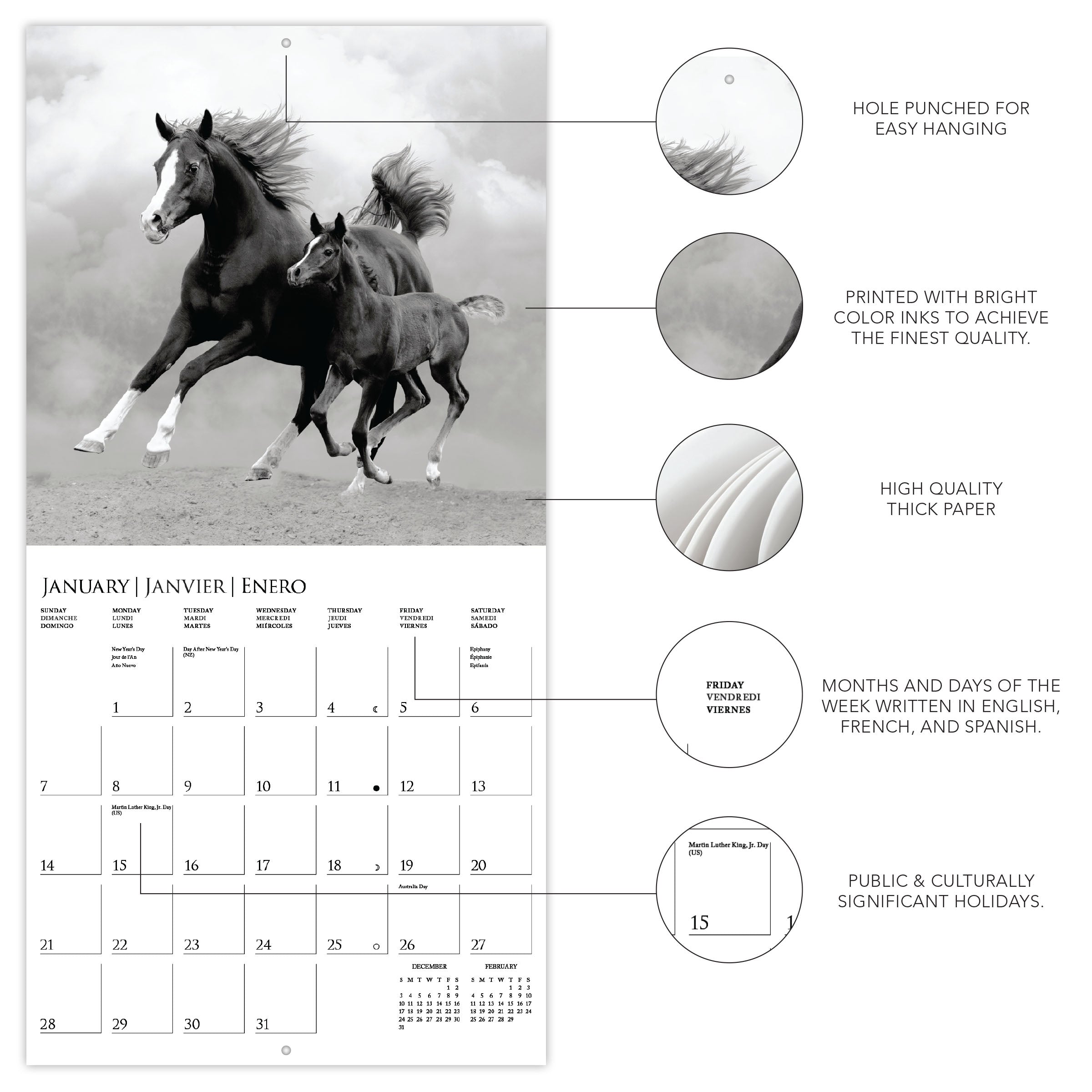 Horses 2024 Wall Calendar    