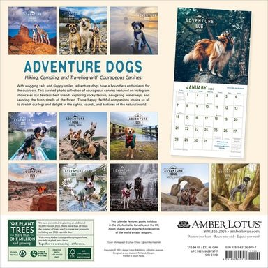 Adventure Dogs 2024 Wall Calendar    