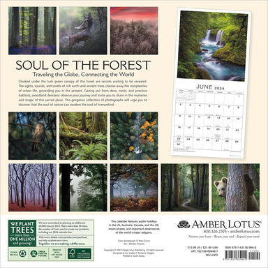 Soul of The Forest 2024 Wall Calendar    