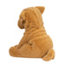 Tater DLux Shar Pei