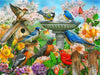 Bird Bath 500 Piece Puzzle