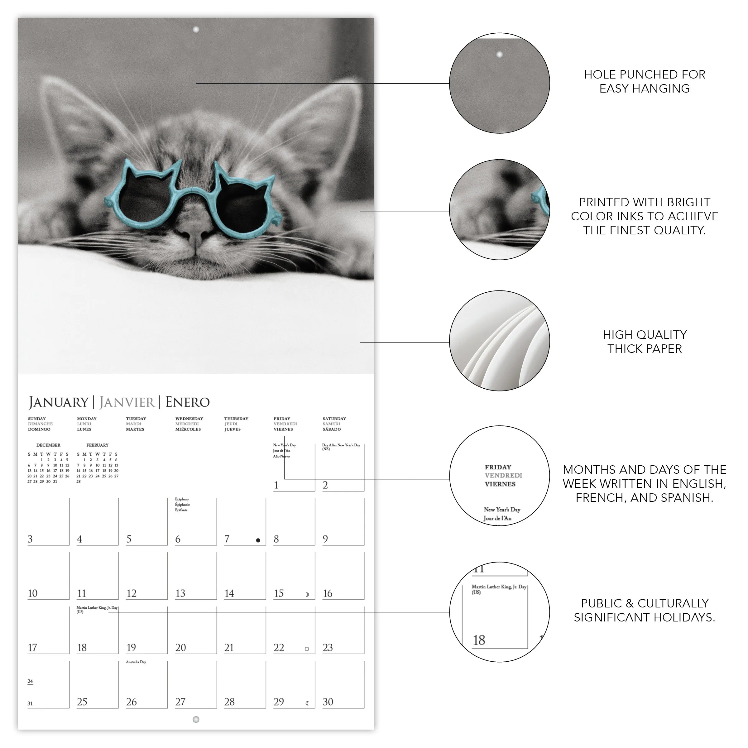 GRPH Classic Cats 2027 Mini Wall Calendar