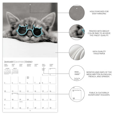 GRPH Classic Cats 2027 Mini Wall Calendar