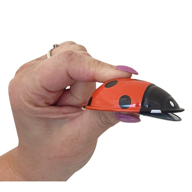 HSEM Click Clack Ladybug