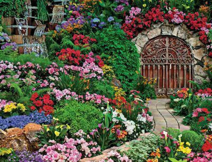 SPRGBK Wine Cellar 500 Piece Puzzle