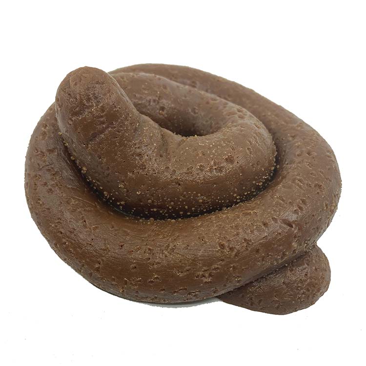 Big Bag of Poop! Poo Prank