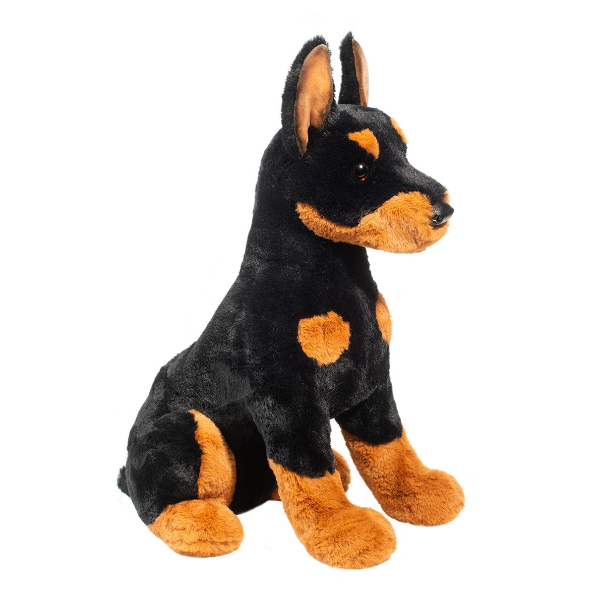 Maverick Doberman
