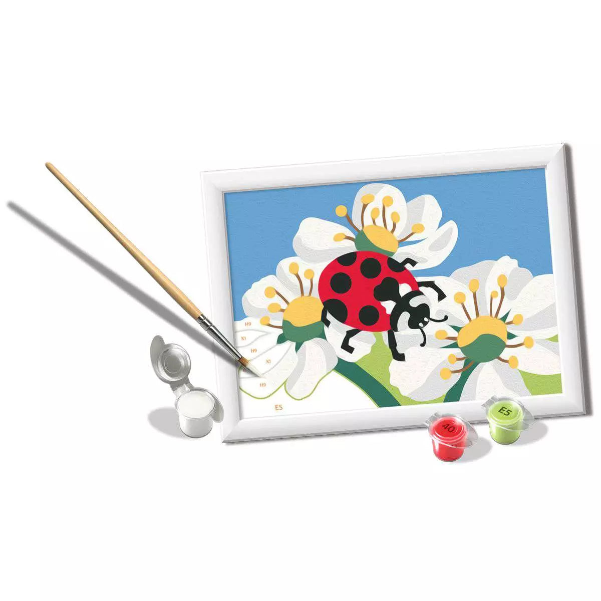 RAV CreArt Ladybug in Nature Paint-by-Number