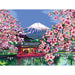 RAV CreArt Canvas Edition: Japanese Cherry Blossom Paint-by-Number