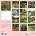 In The Garden 2025 Wall Calendar    