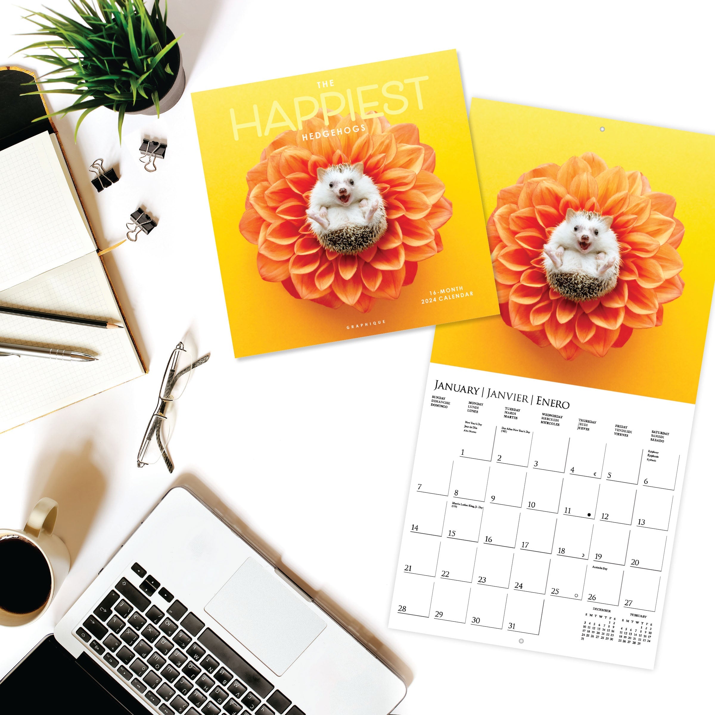 Happiest Hedgehogs 2024 Wall Calendar — Bird in Hand