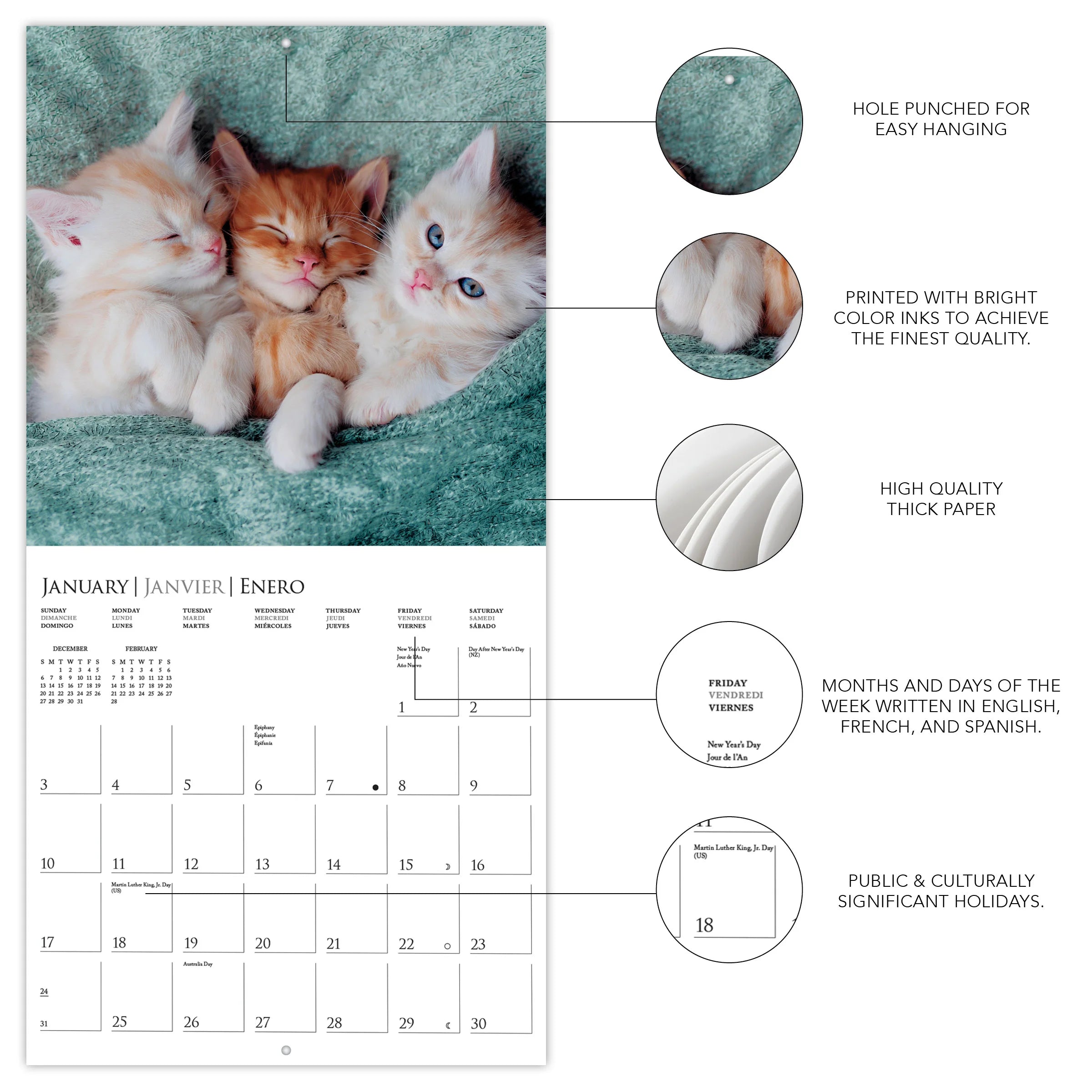GRPH Cute Kittens 2027 Wall Calendar