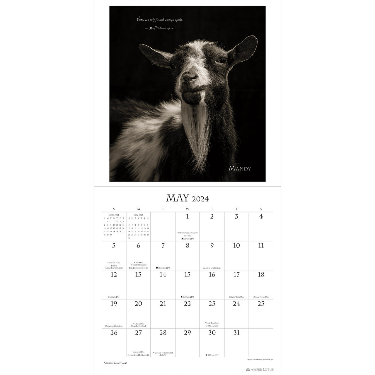I Am Goat 2024 Wall Calendar — Bird in Hand