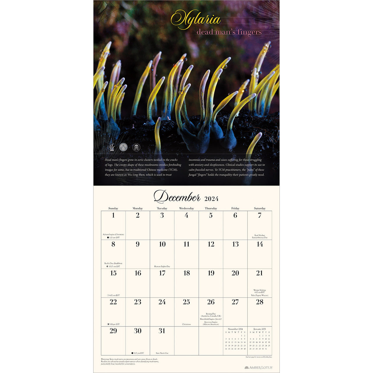 The Miraculous Mushroom with Fabulous Fungi Facts 2024 Wall Calendar    
