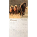 Spirit Horses 2024 Wall Calendar    