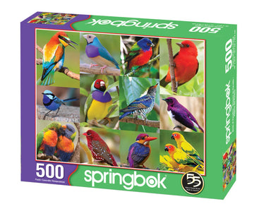 SPRGBK Birds of Paradise 500 Piece Puzzle