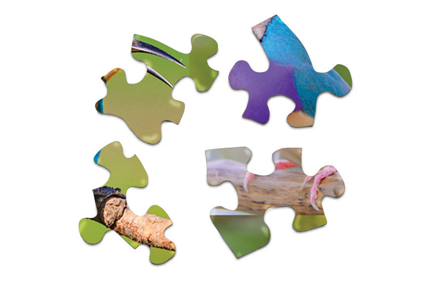 SPRGBK Birds of Paradise 500 Piece Puzzle
