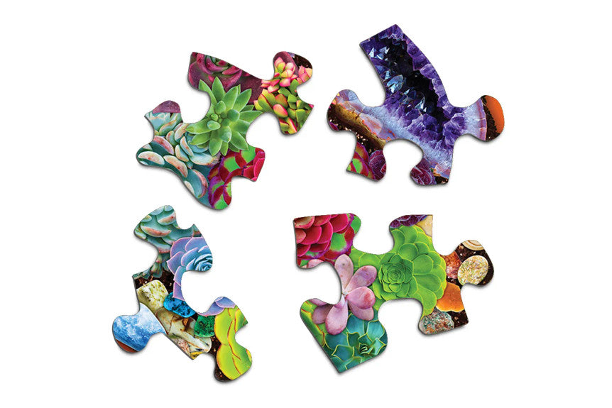 succulent garden puzzle Succulent Garden 500 Piece Jigsaw Puzzle Springbok